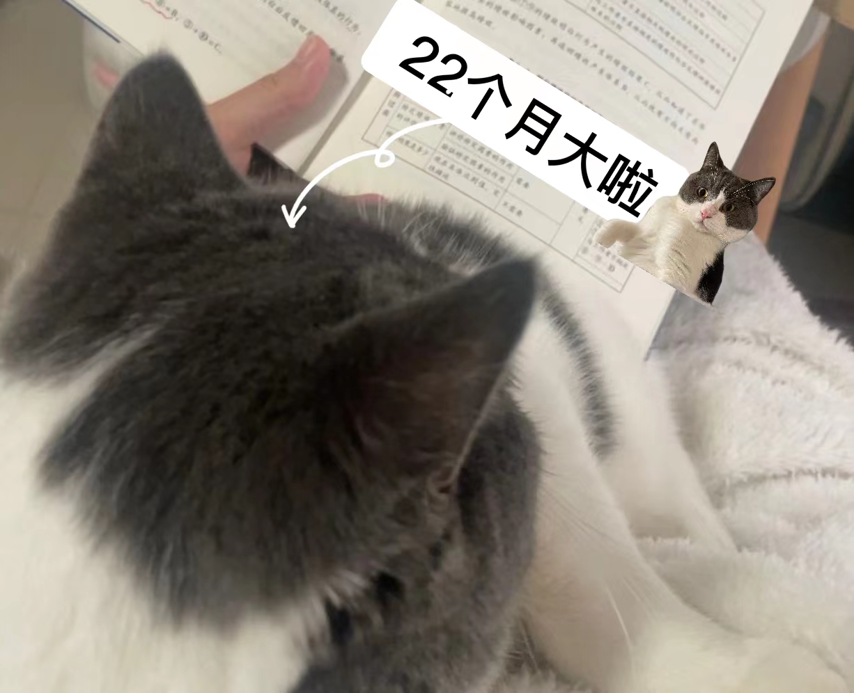 我与“22”个月大的猫猫看书.jpg 我与“22”个月大的猫猫看书.jpg